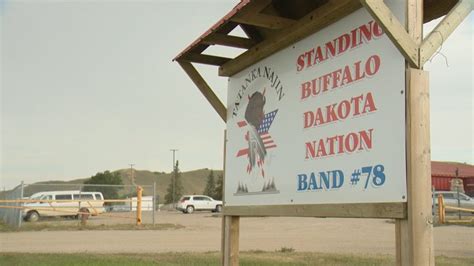 buffalo dakota fort qu'appelle